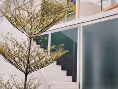 -霏梵印象公园摄影基地
