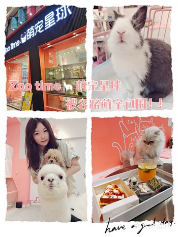 被围攻的萌宠快乐星球！！