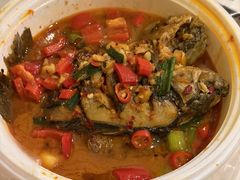 -龚海宝· 烧烤· 羊肉原切挂糊更好吃(庄市店)