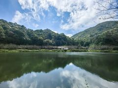 -广州市流溪河国家森林公园