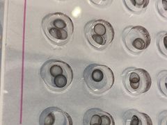 -Sweet Color美瞳隐形眼镜专营店(南翔印象城MEGA店)