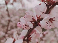 -颐和园