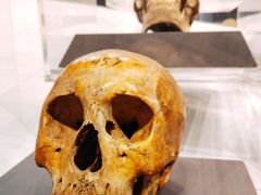 -北京周口店北京人遗址博物馆