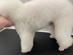 -comecome来吧宠物(奥克斯中心店)