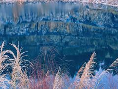 -黄埔油麻山森林公园