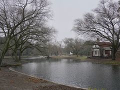 -上海共青森林公园