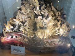 -陕西自然博物馆