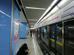 -大龙山(地铁站)