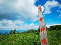 -龙道沟景区