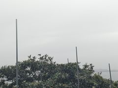 -雨花胜境