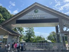 -中国大熊猫保护研究中心雅安碧峰峡基地