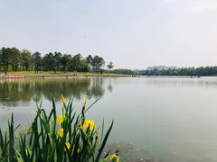 -美兰湖景区