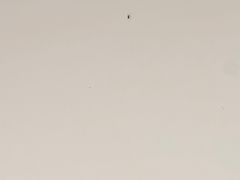 -重庆悦来温德姆酒店
