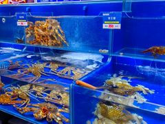 -船梆煮•蒸汽海鲜·炉火烤肉(五四广场店)