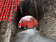 -巴倒烫陆派火锅山庄(南山总店)