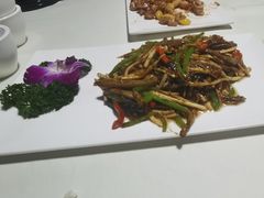 -丁老爷子苏香圆