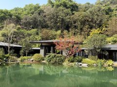 -云溪植物园
