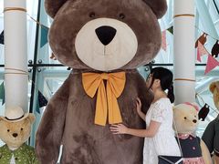 -济州岛泰迪熊博物馆