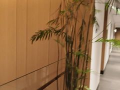 -连鹭海鲜·海肠捞饭·海胆饭(星海店)