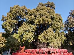 -四门塔风景区