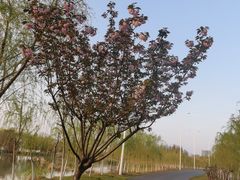 -艾溪湖湿地公园