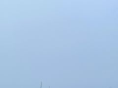 -东白山