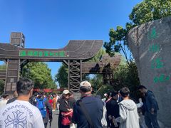 -溱湖国家湿地公园