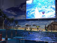 -福州罗源湾海洋世界旅游区