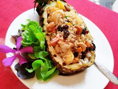 -Kat's Kitchen