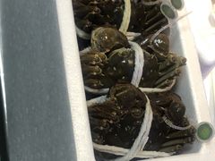 -黄记大闸蟹专卖店·活蟹·醉蟹