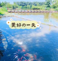 -汉石桥湿地童趣乐园