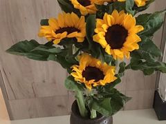 -循礼门鲜花花市(武汉循礼门店)