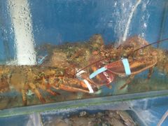 -海帮主·蒸汽海鲜青岛菜(栈桥火车站店)