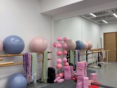 -中央芭蕾舞团·中芭艺蕾(酒仙桥明星校区)