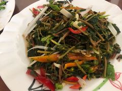 马齿苋-丁里正宗青春羊肉馆(胜利大道店)