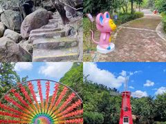 -广州白江湖森林公园