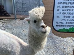 -台州海洋世界