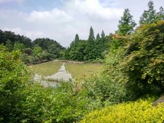 -铁山坪森林公园