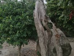 -赵家堡