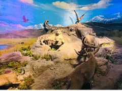 -武汉园博园(武汉自然博物馆)