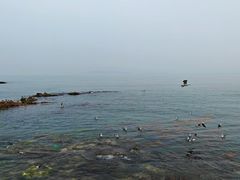 -刘公岛景区