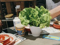 -生活如沸·顺德水牛奶火锅(大学路店)