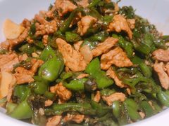 湘村黑猪辣椒炒肉-壹盏灯(惠农店)
