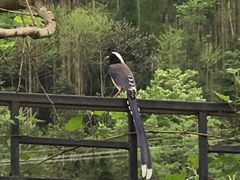 -太阳湾风景区