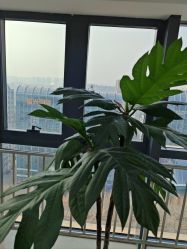 -HEYAN荷妍专业脱毛连锁机构