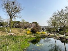 -羊山湖公园