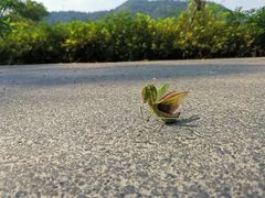 -石燕湖生态旅游景区