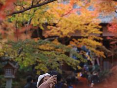 -常寂光寺