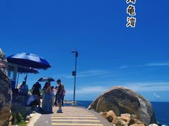 -广东惠东海龟国家级自然保护区