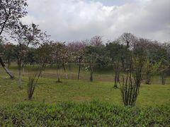 -荔湾区儿童公园